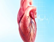 النمر: 6 عوامل تسبب انسداد شرايين القلب احذروها
