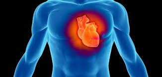 دراسة: مكملات الفيتامينات لا تفيد القلب