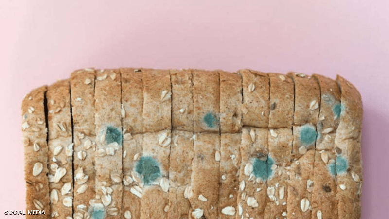 “الخبز المتعفن”.. هذا ما سيحدث لجسمك إذا تناولته