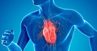 7 أسباب لضعف عضلة القلب.. الأخيرة شديدة الخطورة