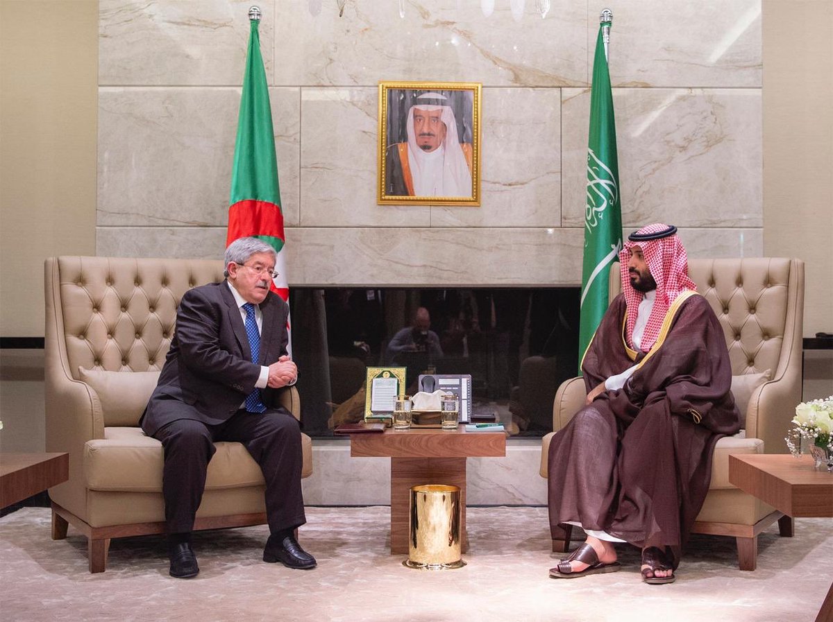 بيان سعودي جزائري: مجلس أعلى للتنسيق في المجالات السياسية والأمنية ومكافحة الإرهاب والتطرف